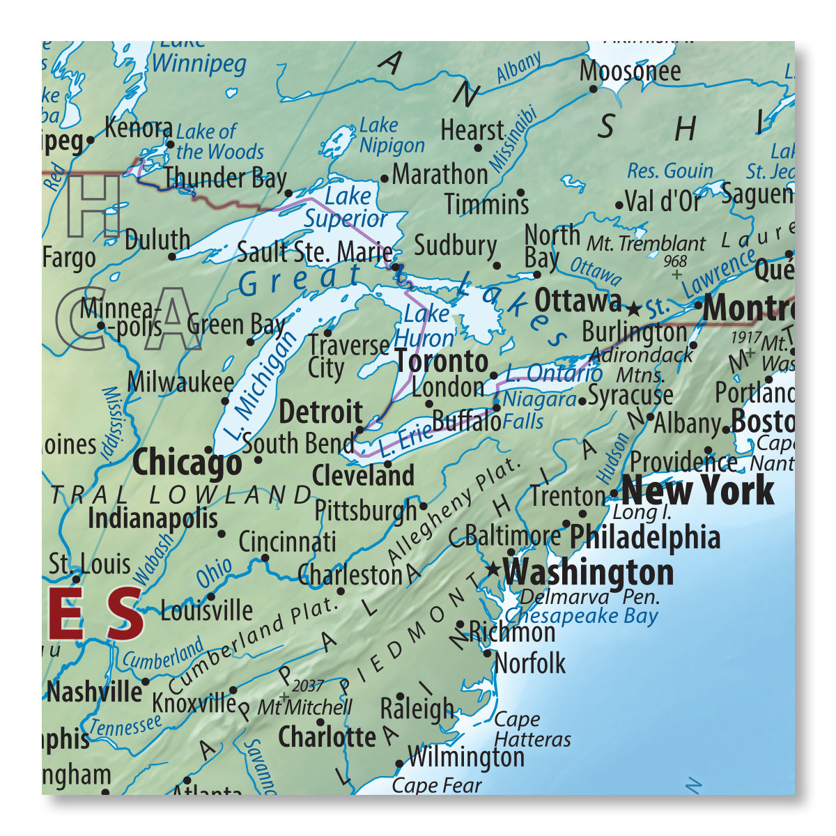 The World topography wall map