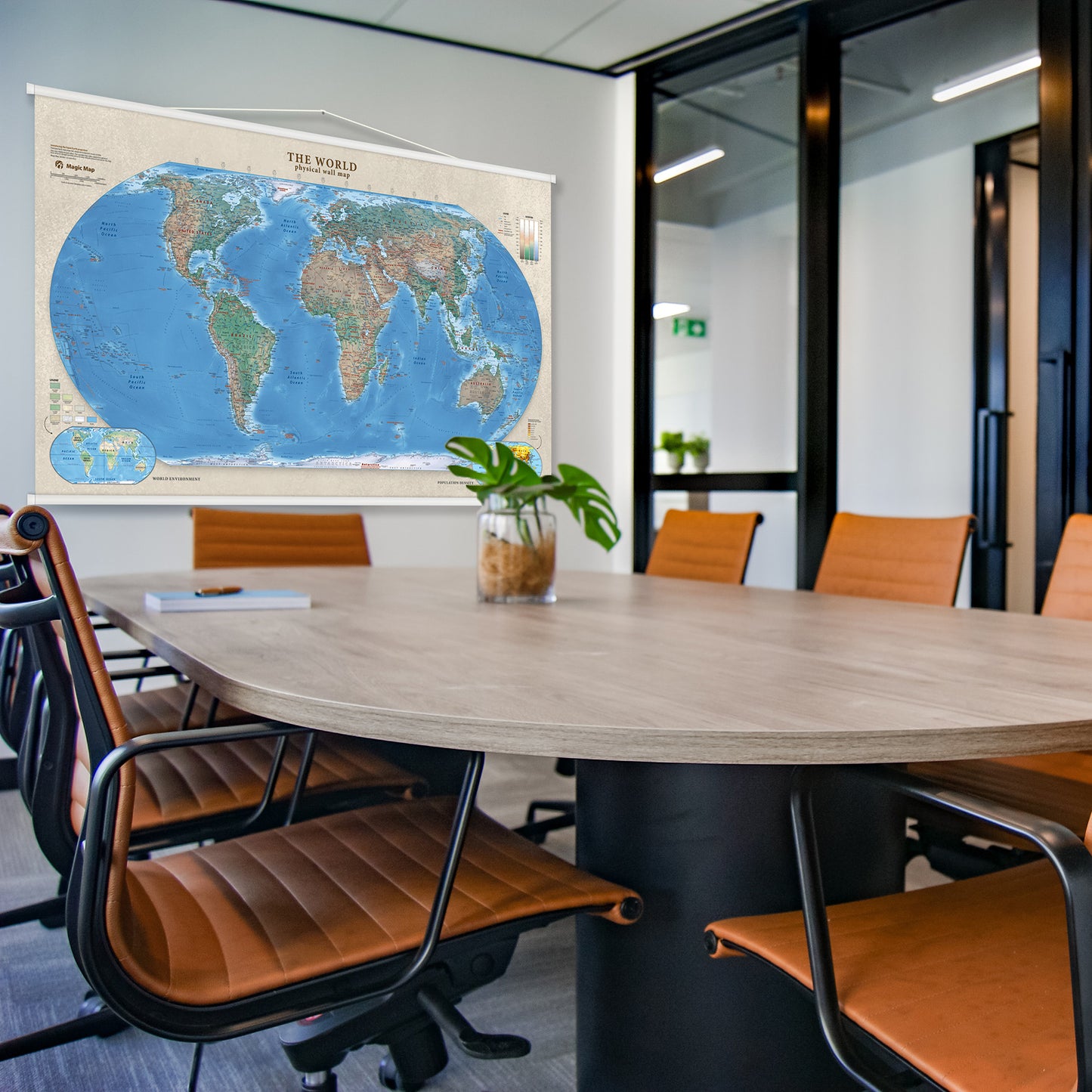 The World physical wall map